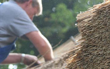 professional Tilkey thatchers